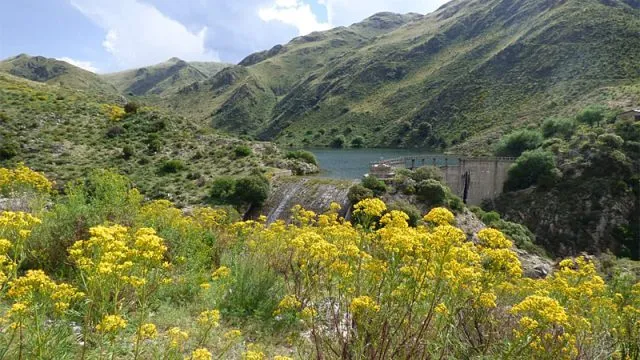 Dique Los Alazanes - Sierras verdes